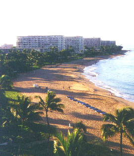 #201 The Whaler Maui * The Whaler Maui Kaanapali Beach Condos * Whaler Maui Owner Rentals * Whaler Maui Rentals * The Whaler Maui Condo Rentals * Whaler Maui Condos * The Whaler - Maui - Kaanapali Beach * The Whaler - Beach front - Maui * The Whaler - Oceanfront - Maui * The Whaler Maui Lodging * Maui Condo Rentals At The Whaler On Kaanapali Beach