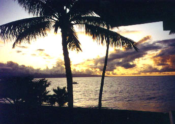 #201 The Whaler Maui Condos * The Whaler Maui Rentals * The Whaler Maui Resort * Whaler Maui Owner Condos * Whaler Maui Owner Rentals * Whaler Maui Condos * Whaler Maui Rentals * Maui Condos * Maui Rentals * Kaanapali Maui Rentals * Whaler Maui Accommodations * Whaler Maui Lodging * Owner Rentals At The Whaler Maui * The Whaler Maui Kaanapali Beach * Whaler Maui Owner Direct Condos * Whaler Maui Kaanapali Beach Owner Vacation Rentals