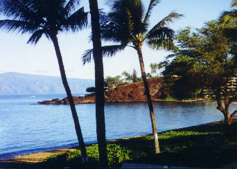 #201 The Whaler Maui Condos * The Whaler Maui Rentals * The Whaler Maui Resort * Whaler Maui Owner Condos * Whaler Maui Owner Rentals * Whaler Maui Condos * Whaler Maui Rentals * Maui Condos * Maui Rentals * Kaanapali Maui Rentals * Whaler Maui Accommodations * Whaler Maui Lodging * Owner Rentals At The Whaler Maui * The Whaler Maui Kaanapali Beach * Whaler Maui Owner Direct Condos * Whaler Maui Kaanapali Beach Owner Vacation Rentals